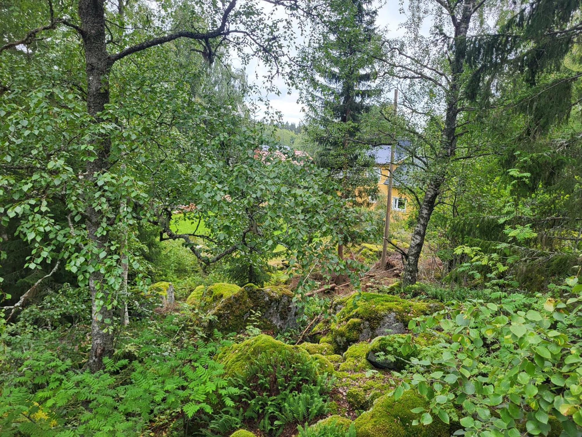 3 Bedroom Cottage With Sauna By The Sea Vaasa Extérieur photo